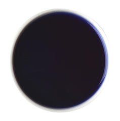 Butterfly Blue Pea - darjeelingsips