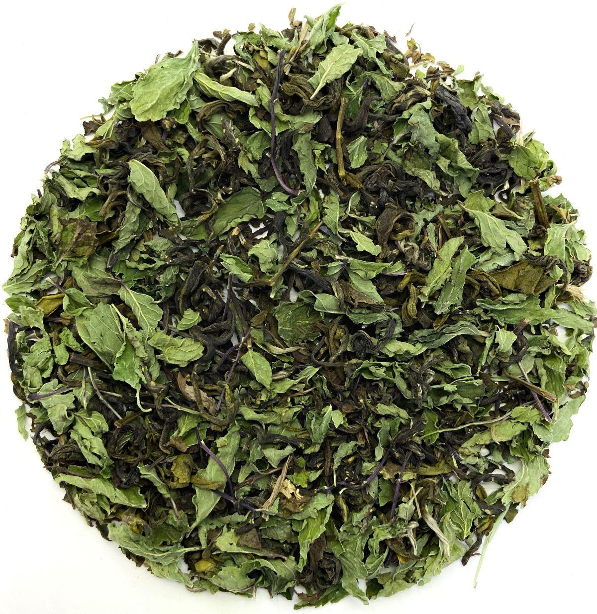 Forest Mint Green Tea - darjeelingsips