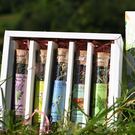 Mandala Gift box