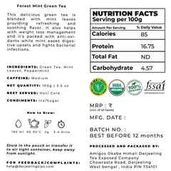 Forest Mint Green Tea - darjeelingsips