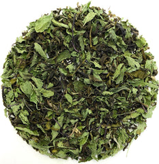 Forest Mint Green Tea - darjeelingsips